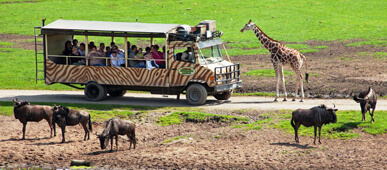Familienurlaub nähe Serengeti Park