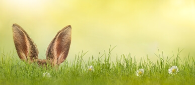 Ostern
