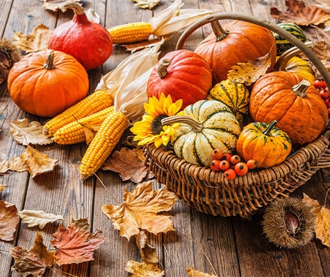 Goldene Zeiten auf dem Herbstmarkt