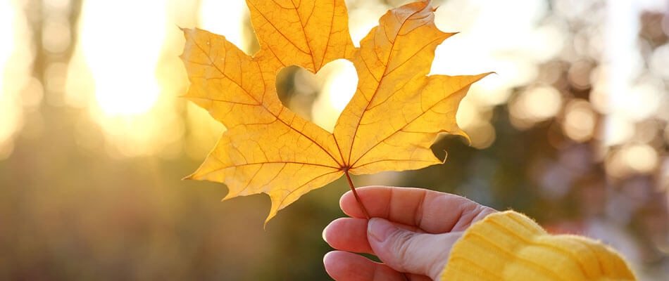 Goldene Zeiten auf dem Herbstmarkt
