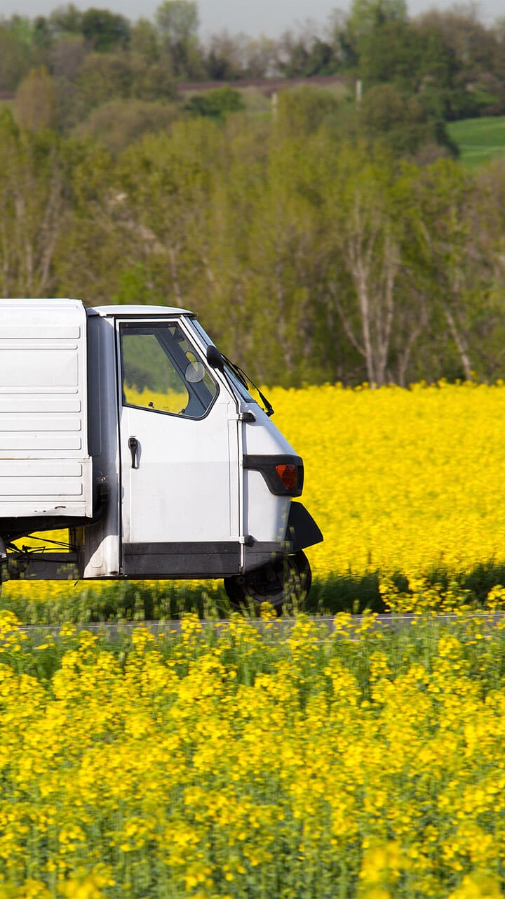 Eycatcher Mobil